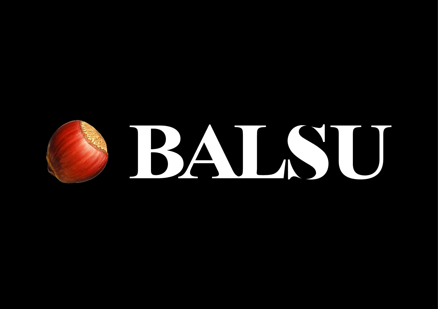 Balsu: Milestone 1 Evaluation - Fair Labor Association