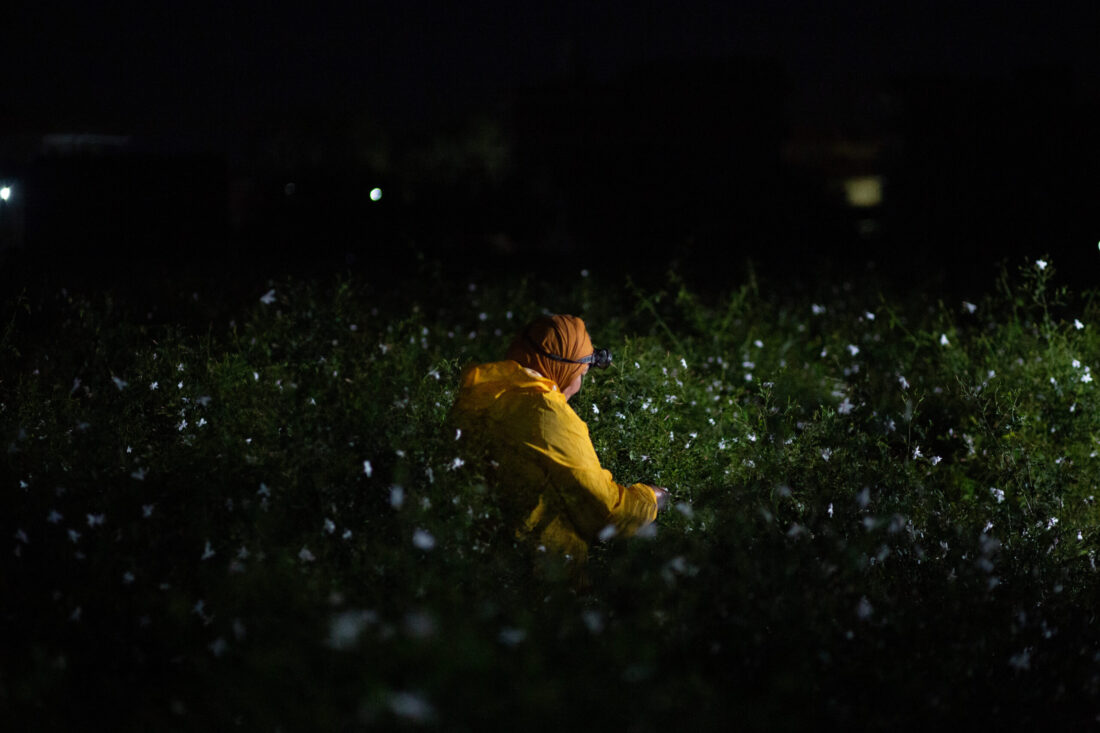 HTF Jasmine Field Visit Day 1_-135